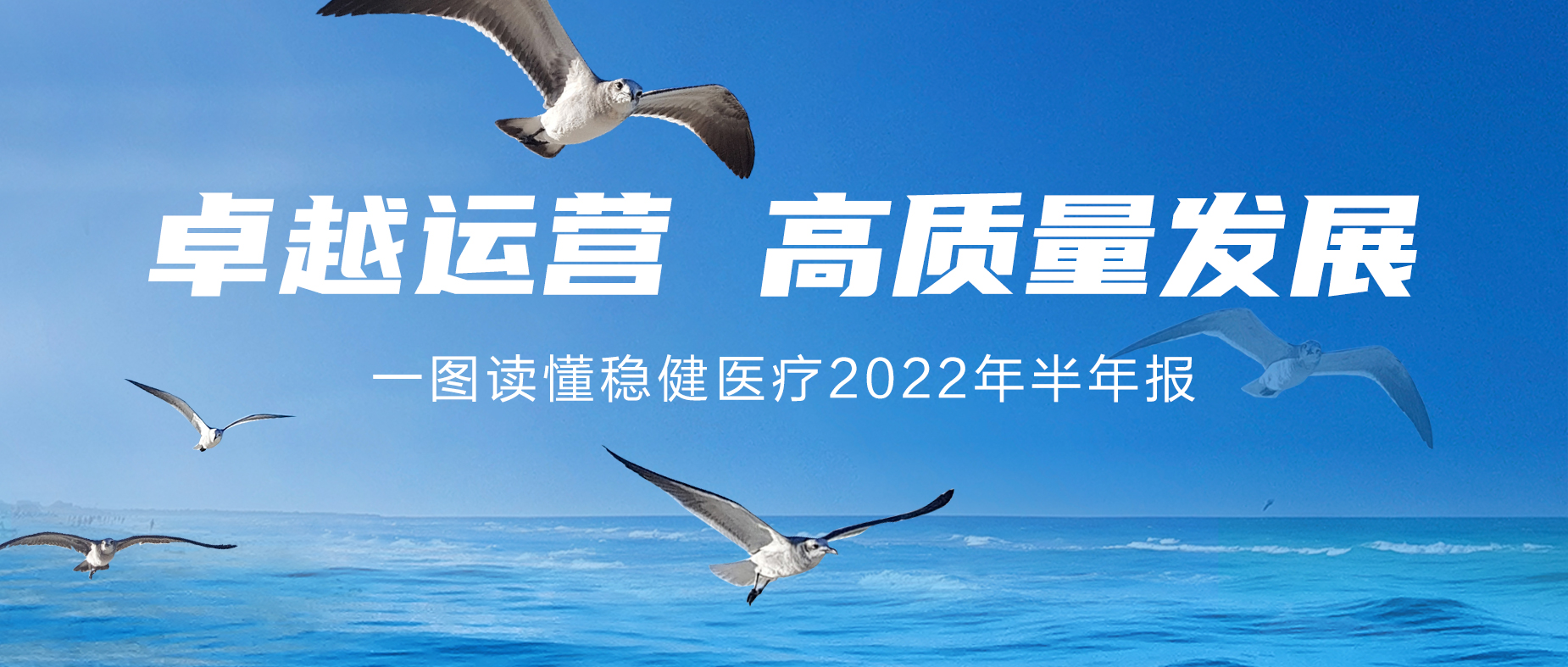 一图读懂德赢VWIN医疗2022年半年报
