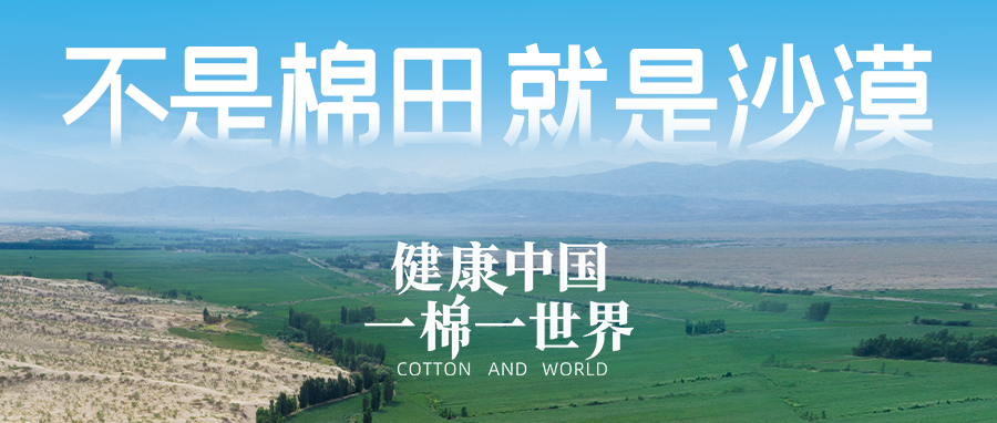 链接世界，引领健康生涯，德赢VWIN集团受邀亮相首届链博会